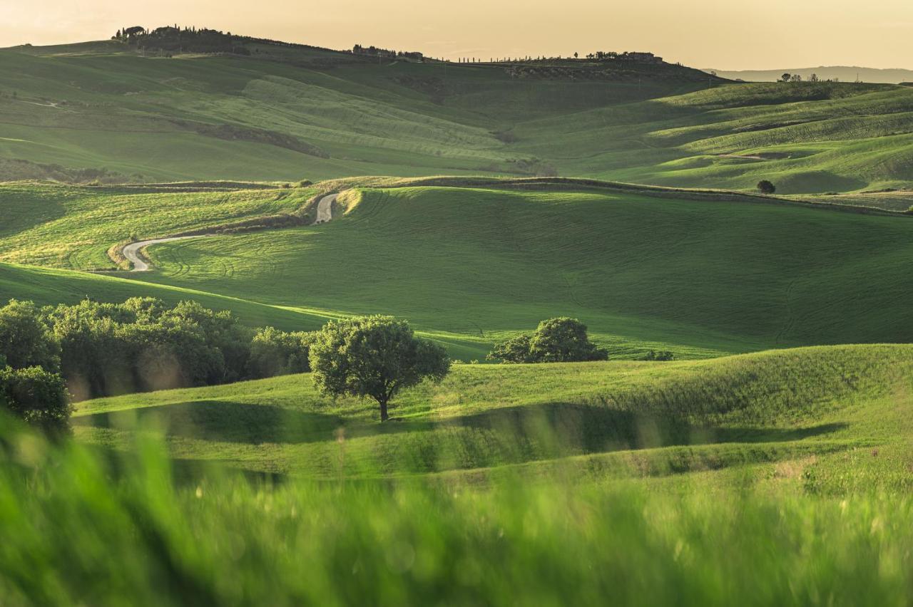 Agriturismo Cretaiole Pienza Luaran gambar