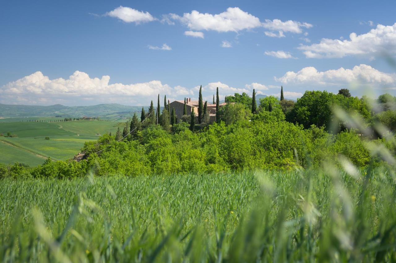 Agriturismo Cretaiole Pienza Luaran gambar